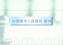여행상품 마케팅전략 9페이지