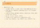 미디어 텍스트에 대한 이해 13페이지