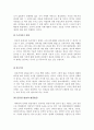 인터넷 방송의 현황과 문제점 및 발전방안 10페이지