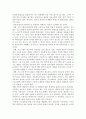 인터넷 방송의 현황과 문제점 및 발전방안 11페이지
