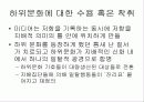 하위문화 15페이지