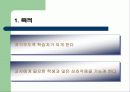[교육학](체육) 개별화 지도모형 4페이지
