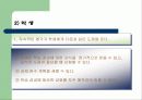 [교육학](체육) 개별화 지도모형 39페이지