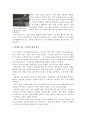 석굴암 조사 보고서 4페이지