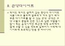 음식과 관련된 다이어트 방법들 ppt 11페이지