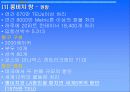 미국의 물류운송체제 17페이지