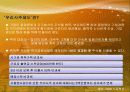 [인사관리]임금관리 - 스톡옵션 PPT 5페이지