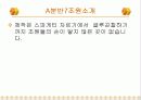 스파게티 다리 만들기 최종보고서 3페이지