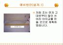 스파게티 다리 만들기 최종보고서 6페이지