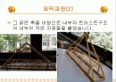 스파게티 다리 만들기 최종보고서 10페이지