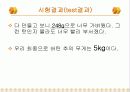 스파게티 다리 만들기 최종보고서 14페이지