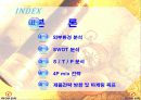 아이나비(네비게이션) 마케팅 전략 13페이지