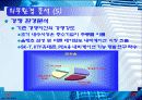 아이나비(네비게이션) 마케팅 전략 18페이지
