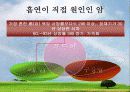 흡연과 금연 26페이지