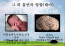 흡연과 금연 32페이지