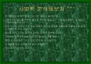 교양수업-시읽기에 대한 쉬운 접근 발표수업 12페이지