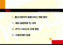 iptv에 관한 전망과 규제방향 2페이지