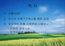 유통전략 부문의 성공과 실패사례 (미샤, 이마트, 까르푸 사례분석) 2페이지