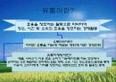 유통전략 부문의 성공과 실패사례 (미샤, 이마트, 까르푸 사례분석) 3페이지