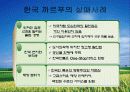 유통전략 부문의 성공과 실패사례 (미샤, 이마트, 까르푸 사례분석) 18페이지