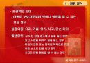 마케팅 미아찾기 서비스 사업계획서 5페이지