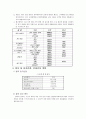 요식업 창업 사업계획서 6페이지