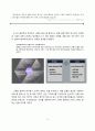 홈플러스의 성공사례. 8페이지