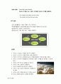 홈플러스의 성공사례. 17페이지