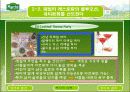 패밀리 레스토랑 업체 마르쉐 분석 및 성공 전략 15페이지