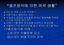 셀프방식에 의한 경제성 분석 2페이지