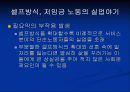 셀프방식에 의한 경제성 분석 11페이지