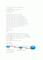 CISCO ROUTER SETTING 18페이지