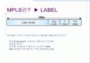MPLS 발표 10페이지