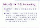 MPLS 발표 12페이지
