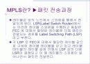 MPLS 발표 17페이지