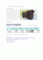몰리브덴과 구리에 대한 조사 4페이지