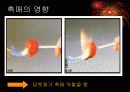 반응속도 프리젠테이션 학습자료 (교생실습참고) 12페이지