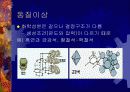광물 프리젠테이션 학습자료 10페이지