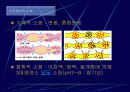 소화단원 프리젠테이션 학습 발표 자료 11페이지