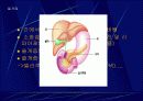 소화단원 프리젠테이션 학습 발표 자료 15페이지