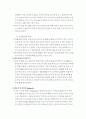 모바일 (SMS)마케팅 전략 12페이지