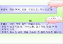 호스피스에 관한것 10페이지