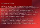 체형, 이미지에 따른 코디(실제사진포함) 21페이지
