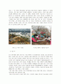 생태도시에 관한 레포트 14페이지