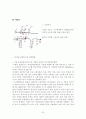 쇼핑관광 52페이지