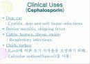 Antiinfective Drugs(항생제(Penicillin,tetracycline,aminoglycoside 등) , 항바이러스제 , 항진균제 , 방부제 , 소독제 등)에 대한 최고급 피피티 발표자료, 그림有 14페이지