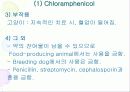 Antiinfective Drugs(항생제(Penicillin,tetracycline,aminoglycoside 등) , 항바이러스제 , 항진균제 , 방부제 , 소독제 등)에 대한 최고급 피피티 발표자료, 그림有 26페이지