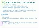 Antiinfective Drugs(항생제(Penicillin,tetracycline,aminoglycoside 등) , 항바이러스제 , 항진균제 , 방부제 , 소독제 등)에 대한 최고급 피피티 발표자료, 그림有 28페이지