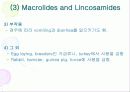Antiinfective Drugs(항생제(Penicillin,tetracycline,aminoglycoside 등) , 항바이러스제 , 항진균제 , 방부제 , 소독제 등)에 대한 최고급 피피티 발표자료, 그림有 31페이지
