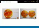 문화적 특성에 따른 광고표현과 특징 - 나라별분석 36페이지